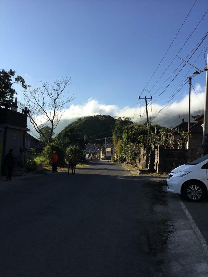 The Villa'S Kubu Sandan Kintamani エクステリア 写真